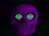 Scull_lila_green.jpeg